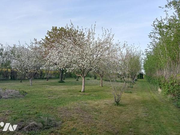 Terrain à bâtir - NOURRAY