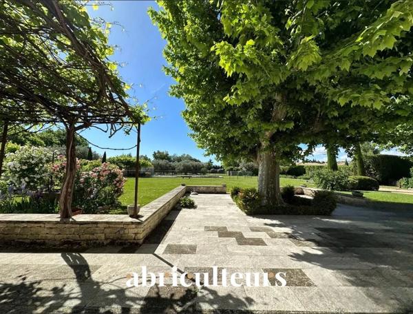 Authentique Mas Provençal 350m² Cheval-Blanc