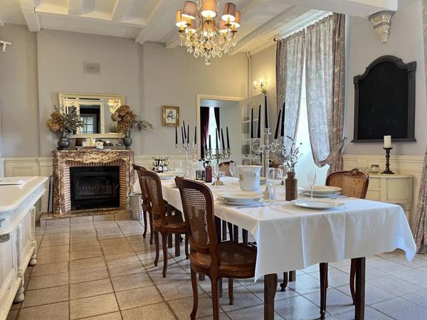 Magnifique Château avec des vues imprenables, gîte et terrain