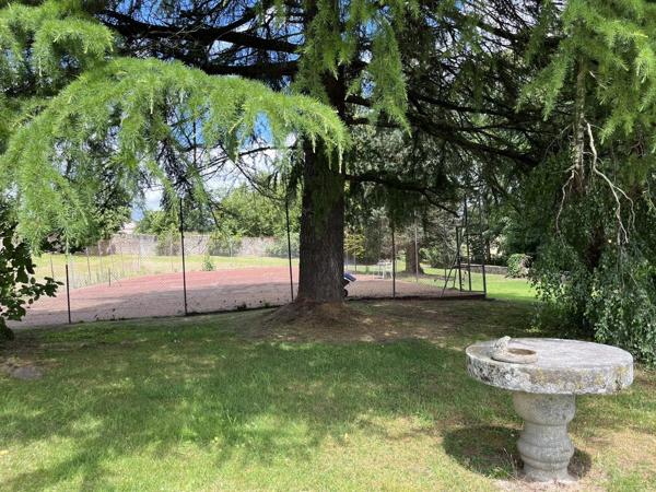 Magnifique Château avec des vues imprenables, gîte et terrain