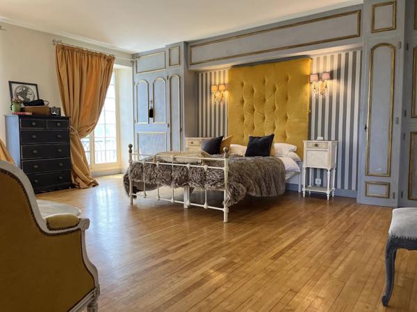 Magnifique Château avec des vues imprenables, gîte et terrain