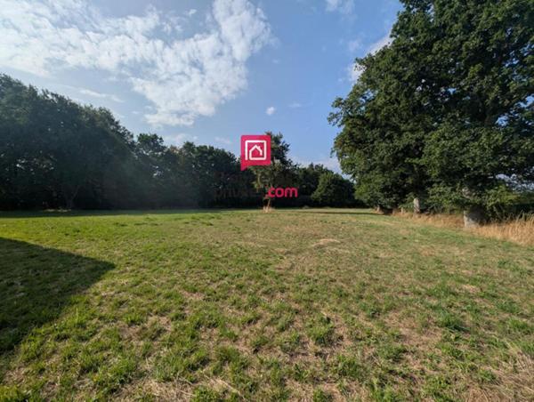 Terrain agricole avec bâtiments  3897 m²