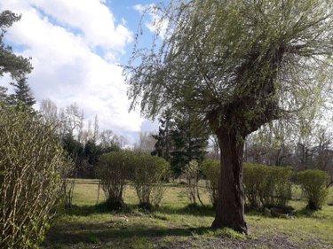 Maison rurale à vendre à Fresnes dans le Loir-et-Cher (41700), ref : AN 9149
