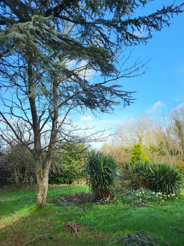 Maison jumelee de 94 m²