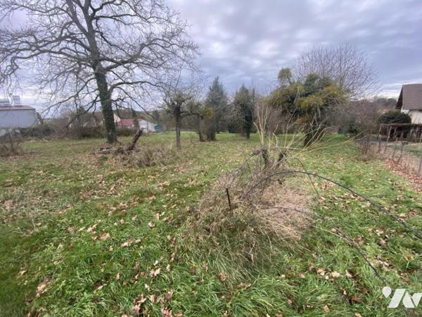 COURTENAY 45320 - TERRAIN A BATIR