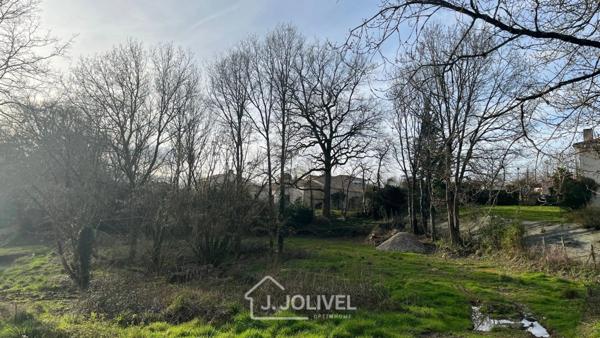 TERRAIN CONSTRUCTIBLE AVEC FORET RARE - LA ROCHE SUR YON