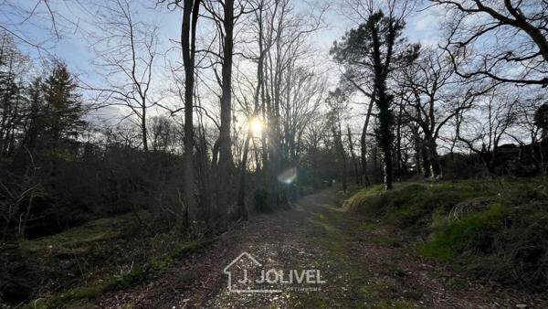TERRAIN CONSTRUCTIBLE AVEC FORET RARE - LA ROCHE SUR YON