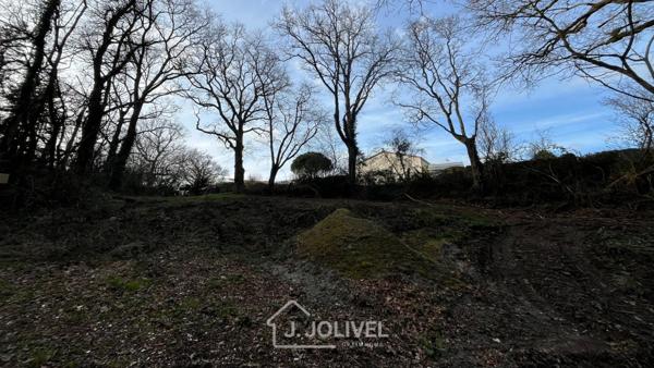 TERRAIN CONSTRUCTIBLE AVEC FORET RARE - LA ROCHE SUR YON