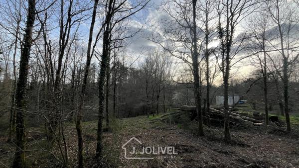 TERRAIN CONSTRUCTIBLE AVEC FORET RARE - LA ROCHE SUR YON
