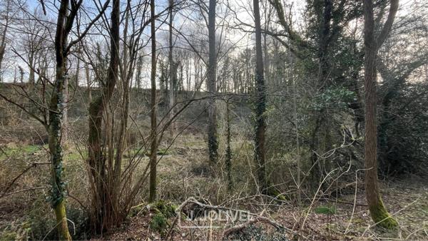 TERRAIN CONSTRUCTIBLE AVEC FORET RARE - LA ROCHE SUR YON