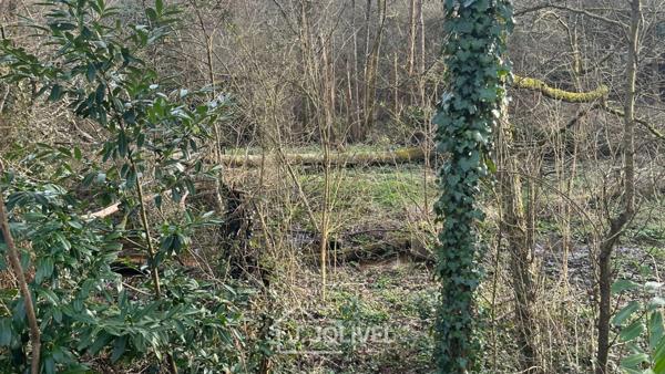 TERRAIN CONSTRUCTIBLE AVEC FORET RARE - LA ROCHE SUR YON