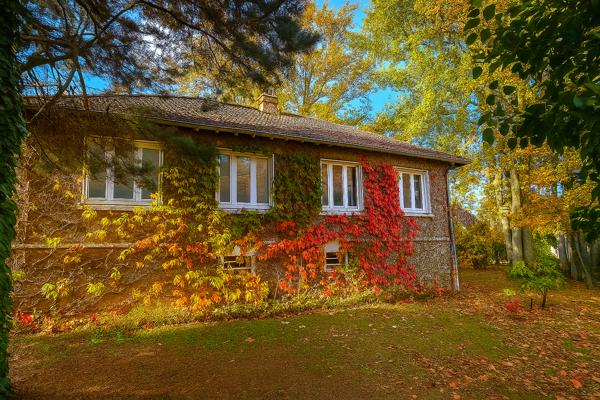 Maison 5 pièces - 81 m² Exclusivité efficity