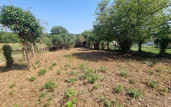 Maison à vendre    4 pièces •  La Meyze