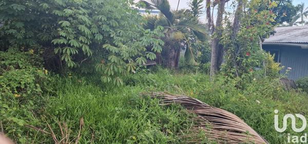 Maison 3 pièces de 73 m² à Saint-Benoît (97437)