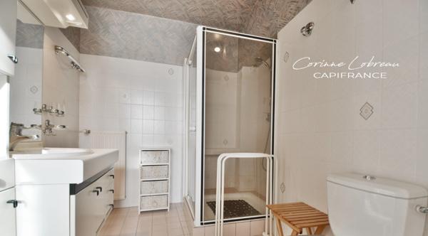 Propriété à vendre 14 pièces à LA ROCHE VINEUSE