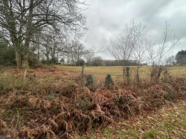 Terrain à vendre de 1 000,00 m² SAINT AMAND MAGNAZEIX (87)