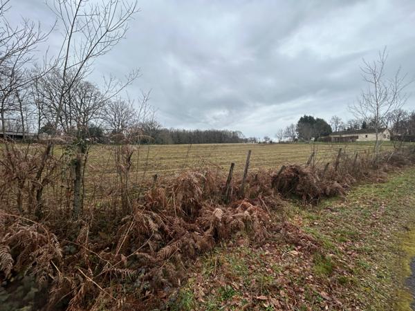 Terrain à vendre de 1 000,00 m² SAINT AMAND MAGNAZEIX (87)