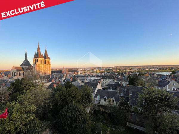 APPART. A VENDRE T3 - BLOIS - Beaux volumes, Vue imprenable sur monuments et Loire