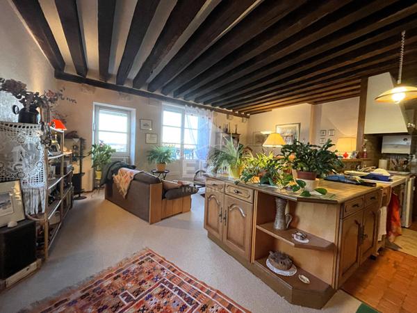 APPART. A VENDRE T3 - BLOIS - Beaux volumes, Vue imprenable sur monuments et Loire