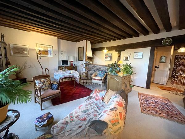 APPART. A VENDRE T3 - BLOIS - Beaux volumes, Vue imprenable sur monuments et Loire