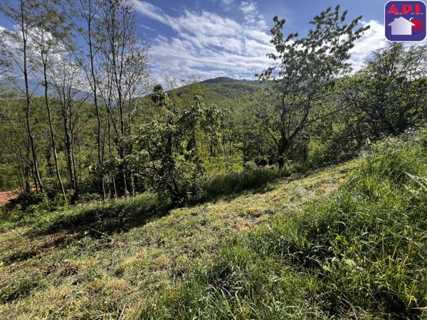 Achat vente Terrain Foix
