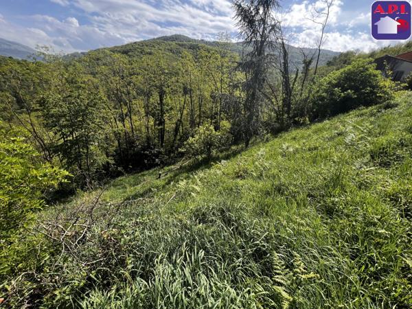 Achat vente Terrain Foix