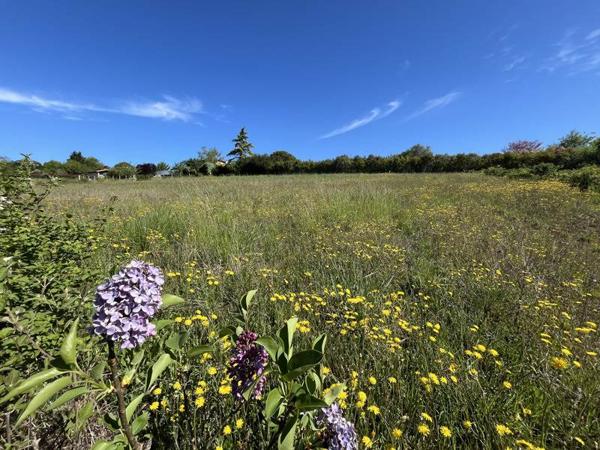 Terrain à vendre |  Lasséran |  1529 m²