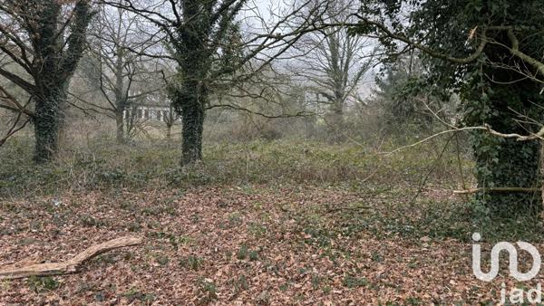 Terrain à vendre 2 145 m² Marcoussis
