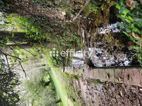 Maison 5 pièces - 140 m²