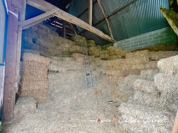 Maison à ISIGNY-LE-BUAT, 50540 - 7 pièces 102m²