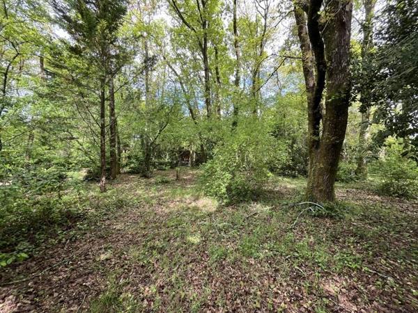 Maison à vendre |  Martignas-sur-Jalle |  8 pièces | 248 m²