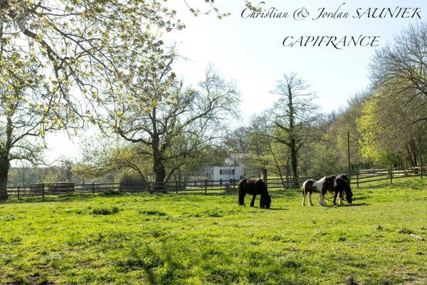 À VENDRE - MOULIN D’EXCEPTION À REVEL – PROPRIÉTÉ DE CHARME RÉNOVÉE SUR 11 HA AVEC PISCINE, ÉTANG, PHOTOVOLTAÏQUE & POTENTIEL HYDROÉLECTRIQUE à REVEL (31)