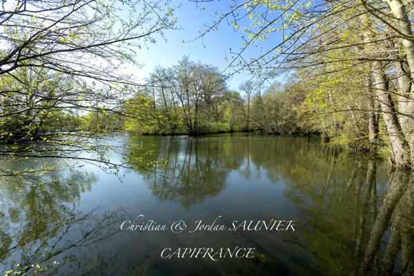 À VENDRE - MOULIN D’EXCEPTION À REVEL – PROPRIÉTÉ DE CHARME RÉNOVÉE SUR 11 HA AVEC PISCINE, ÉTANG, PHOTOVOLTAÏQUE & POTENTIEL HYDROÉLECTRIQUE à REVEL (31)