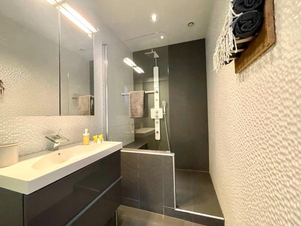 MAS EN CAMARGUE AVEC CHAMBRES D'HÔTES DE LUXE