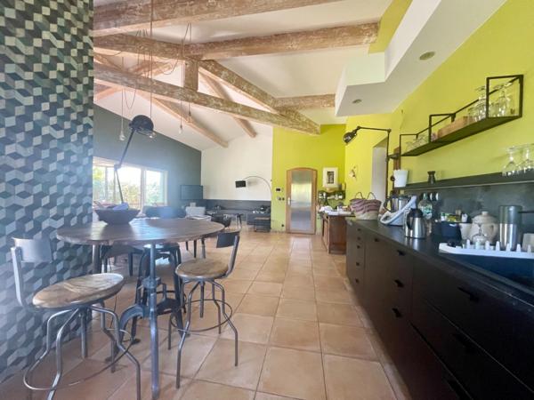 MAS EN CAMARGUE AVEC CHAMBRES D'HÔTES DE LUXE