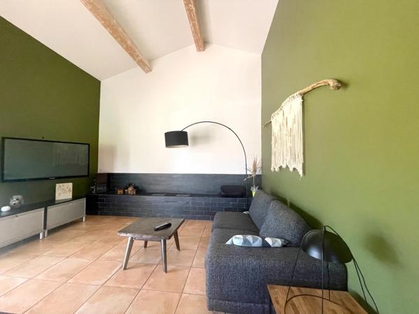 MAS EN CAMARGUE AVEC CHAMBRES D'HÔTES DE LUXE