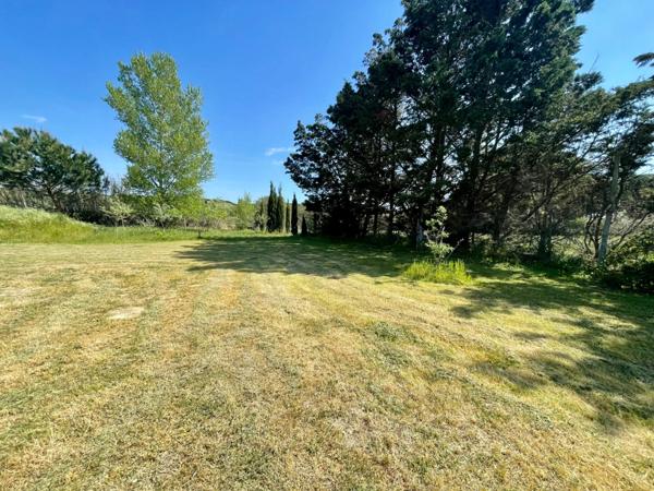 MAS EN CAMARGUE AVEC CHAMBRES D'HÔTES DE LUXE