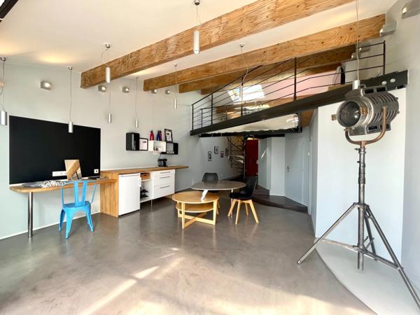 MAS EN CAMARGUE AVEC CHAMBRES D'HÔTES DE LUXE