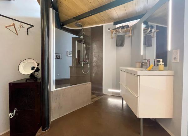 MAS EN CAMARGUE AVEC CHAMBRES D'HÔTES DE LUXE