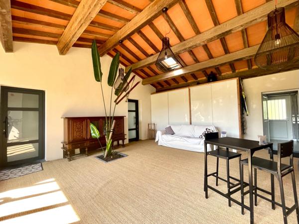 MAS EN CAMARGUE AVEC CHAMBRES D'HÔTES DE LUXE