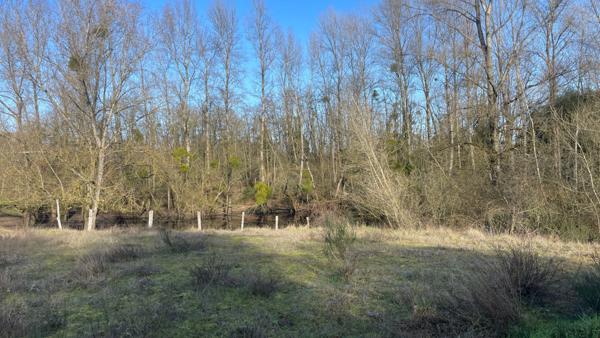 Terrain bord de Loire + d'1hectare proche de NEVERS FOURCHAMBAULT LA CHARITE SUR LOIRE (58)