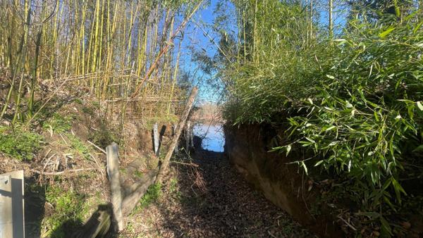 Terrain bord de Loire + d'1hectare proche de NEVERS FOURCHAMBAULT LA CHARITE SUR LOIRE (58)