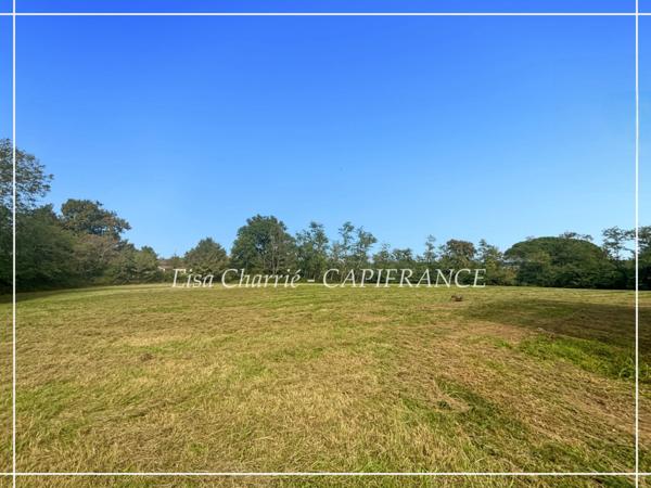Terrain à vendre de 10 455 m2 proche de NOGARO (32)