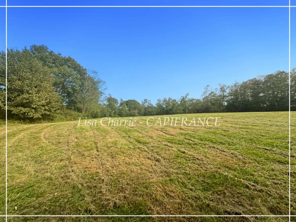 Terrain à vendre de 10 455 m2 proche de NOGARO (32)