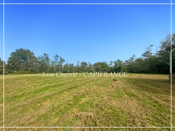 Terrain à vendre de 10 455 m2 proche de NOGARO (32)