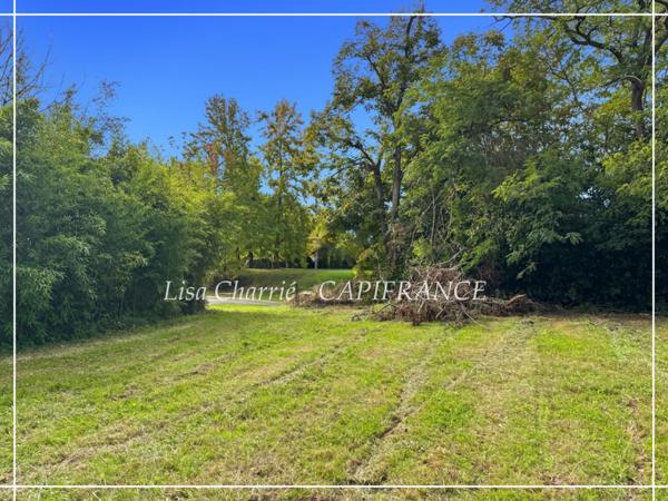 Terrain à vendre de 10 455 m2 proche de NOGARO (32)
