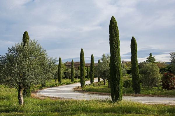 Cabrières-d'Avignon (84220) PROPRIETE 690 M2