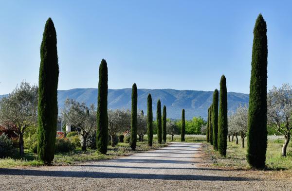 Cabrières-d'Avignon (84220) PROPRIETE 690 M2