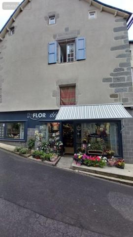 Immeuble à vendre à Murat dans le Cantal (15300), ref : FG/2378
