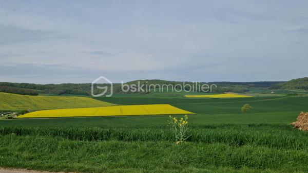 Terrain de 11 574 m²